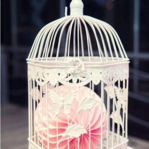 Proslava 1. rodjendana, splav Acapulco-7