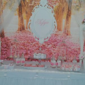 proslava splav akapulko beograd