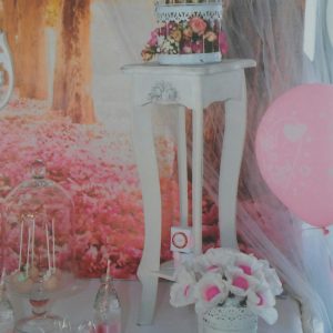 proslava splav akapulko beograd