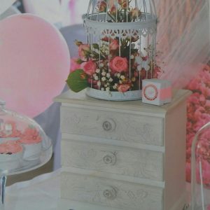 proslava splav akapulko beograd