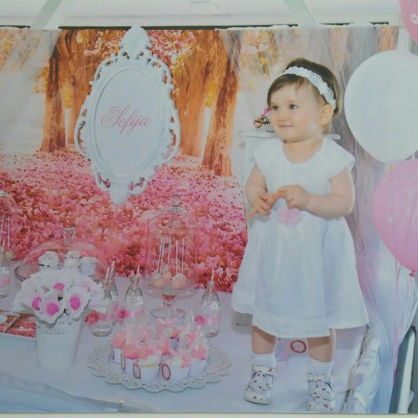 proslava splav akapulko beograd