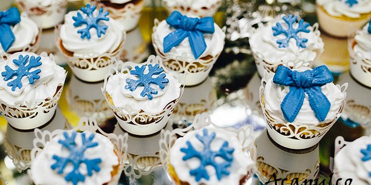 Zimska dekoracija vencanja