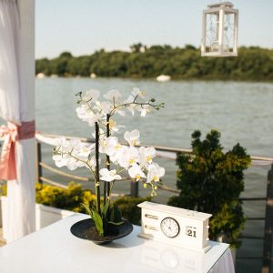 Venčanja, Splav Acapulco-35