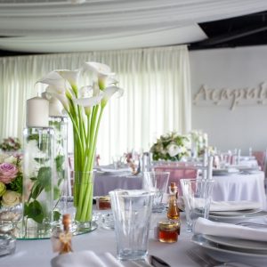 Venčanja na splavu Akapulko-4